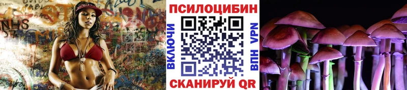 Галлюциногенные грибы Psilocybe Нижний Ломов